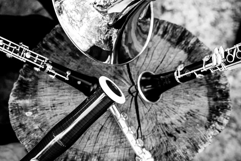 Trompa, oboe, clarinete, fagot y flauta sobre un tocón, en blanco y negro
